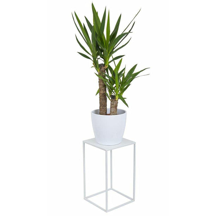 HowHomely Blumenständer Metall Weiss 40 cm Hoch - Solider und Robuster Blumenhocker Metall - Pflanze