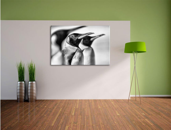 Monocrome, Pinguine, Format: 100x70 auf Leinwand, XXL riesige Bilder fertig gerahmt mit Keilrahmen,