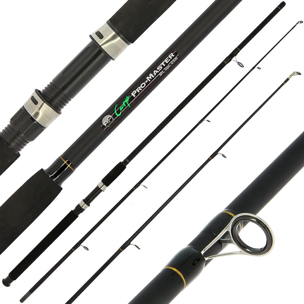 2 x Carp Stalker Rod Master Fiberglas 2,4 m 1,1 kg 2 Stück | 2 x Rolle 2BB 4,5 kg Schnur Graphitspul