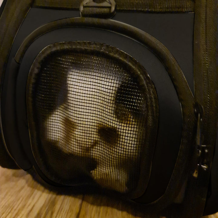 Katzenbox Purlov Hundetransporter faltbar Katzenbox Reisebox 18270
