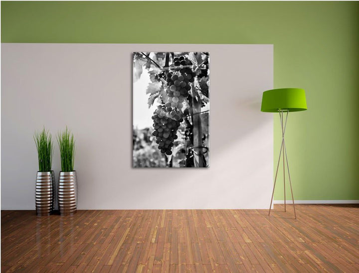 Pixxprint Weinberg im Abendlicht/Format: 100x70cm / Leinwandbild fertig bespannt Wandbild Kunstdruck