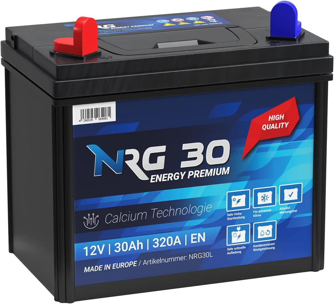 NRG Premium Batterie 30Ah 12V Rasentraktor Aufsitzmäher Plus Pol Links Fleurelle MTD Partner John De