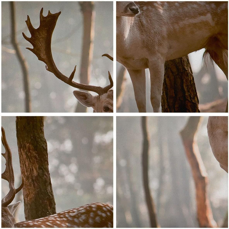 Wandbilder Dekoration Wohnzimmer Kitz Hirsch Tier wild Panorama Bilder auf Leinwand 120x50cm Leinwan