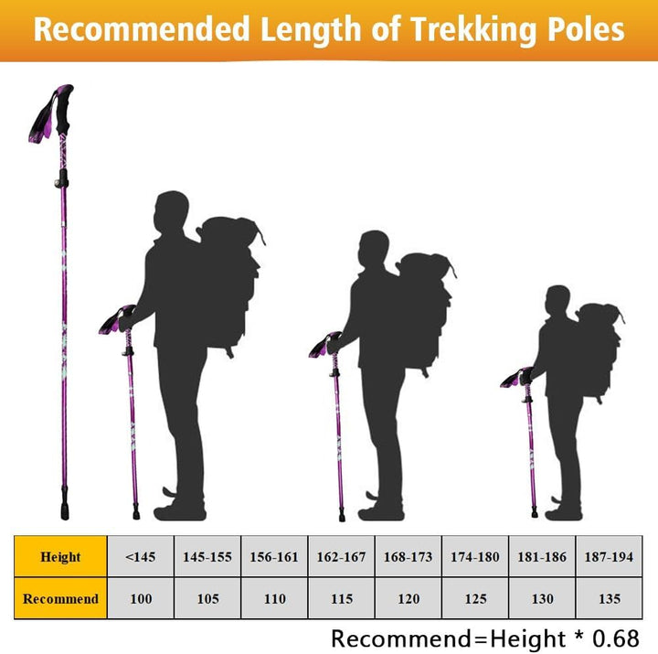 HOVIN Walking Stöcke Damen,Wanderstöcke Faltbar 105-125cm,Trekkingstöcke mit Gummipuffers für Trekki