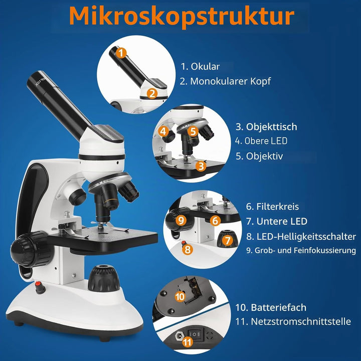 BEBANG Mikroskop für Kinder Studenten Erwachsene 40–2000x Vergrösserung Professionelle Biologische M