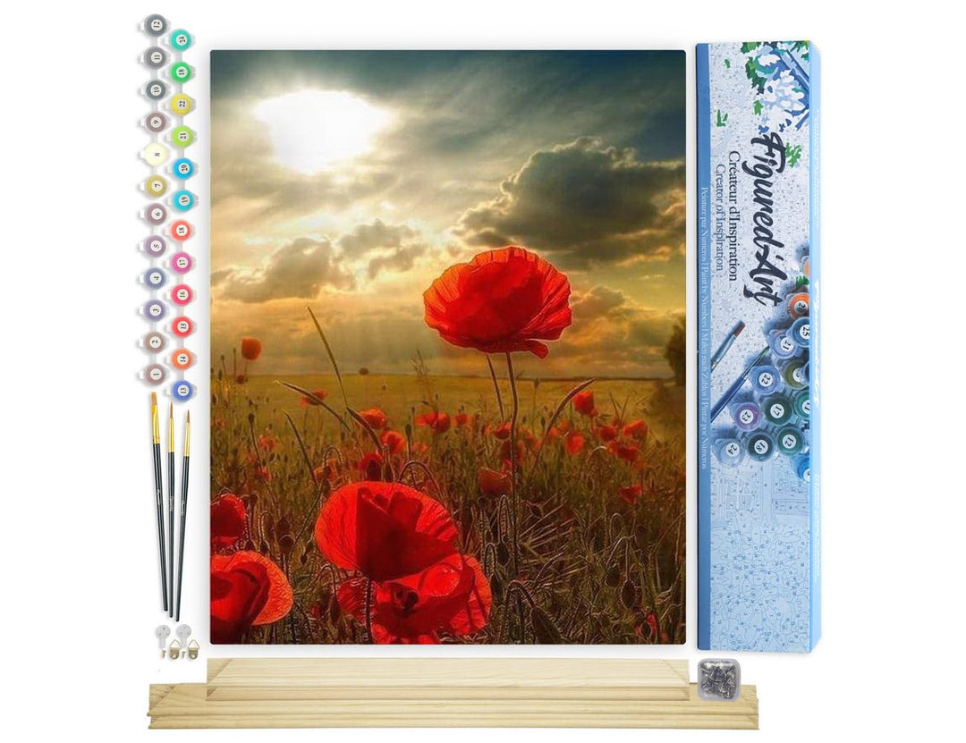 Figured'Art Malen Nach Zahlen Erwachsene Mit Rahmen Blumen unter der Sonne - Paint by Numbers Bastel