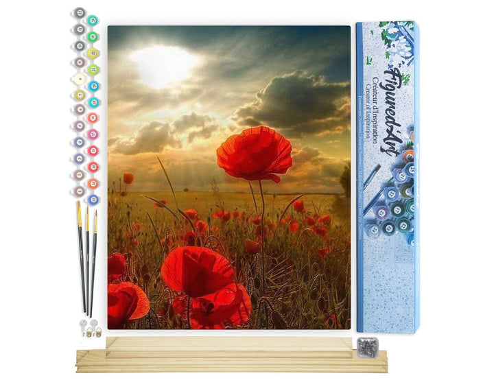 Figured'Art Malen Nach Zahlen Erwachsene Mit Rahmen Blumen unter der Sonne - Paint by Numbers Bastel