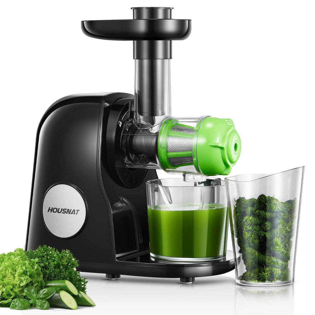 HOUSNAT Slow Juicer, Entsafter Gemüse und Obst, Profi Entsafter mit Ruhigem Motor │ Umkehrfunktion │