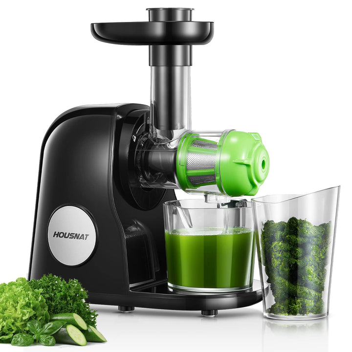 HOUSNAT Slow Juicer, Entsafter Gemüse und Obst, Profi Entsafter mit Ruhigem Motor │ Umkehrfunktion │