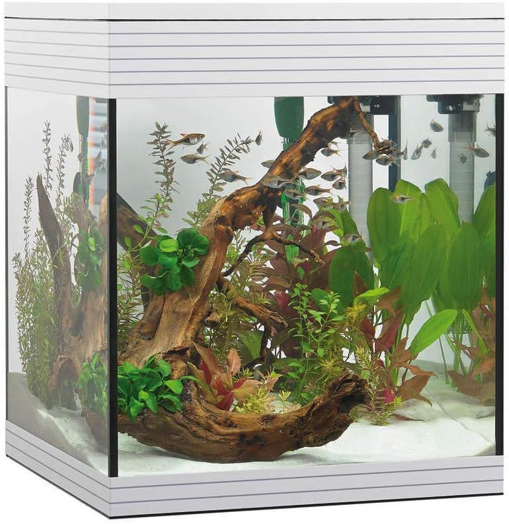 Askoll Aa350046 Aquarium Pure LED, M, Weiss Weiss 1 Unità (Confezione da 1), Weiss 1 Unità (Confezio