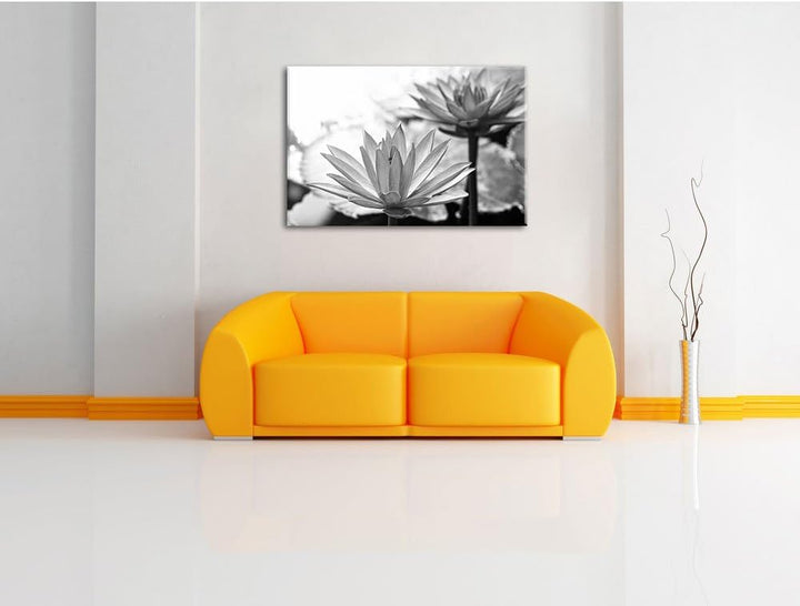 Pixxprint Lilafarbene Wasserlilie Kunst B&W, Format: 100x70 auf Leinwand, 100x70