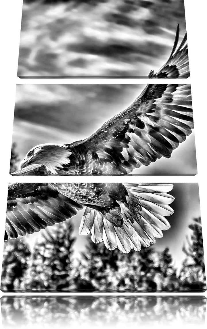 Pixxprint Adler als Leinwandbild | Grösse: 3 Teilig (120x80) | Wandbild| Kunstdruck | fertig bespann