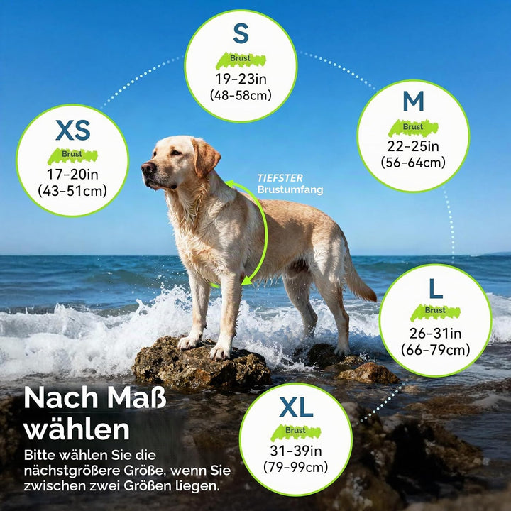 VIVAGLORY Sports Style Hundeschwimmweste, Rettungswesten Für Hunde Bootfahren, Auftrieb &amp; Schwimmhil