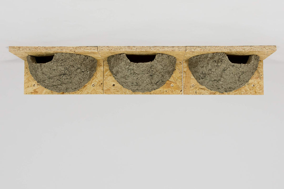 3 Mehlschwalbennester, Nistkasten, Schwalbennester, Mehlschwalbennest, Nisthilfe