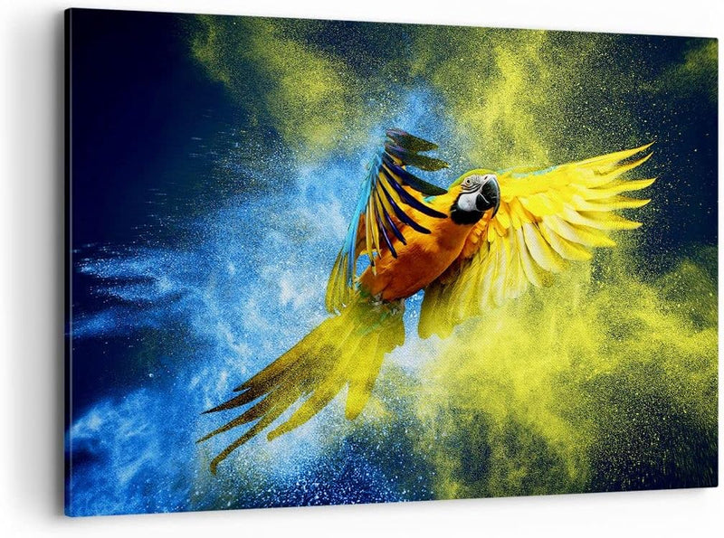 Bilder auf Leinwand 100x70cm Leinwandbild mit Rahmen Papagei Vogel Feder Gross Wanddeko Bild Schlafz