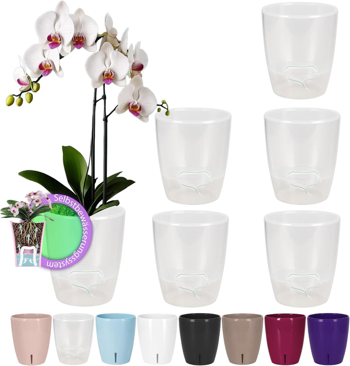 Santino 6er-Set Orchideentopf D 15cm.Selbstbewässernder Topf mit Dochtsystem und Wasserstandsanzeige