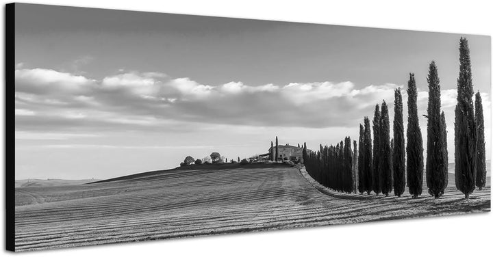 Paul Sinus Art Leinwandfoto als Panorama SCHWARZ/Weiss 150x50cm Italien Toskana Landschaft Zypressen
