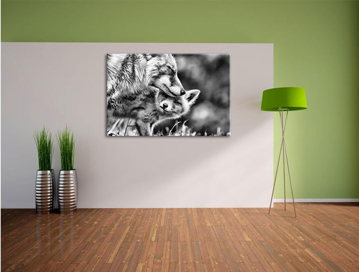 Pixxprint Kuschelnde Füchse als Leinwandbild/Grösse: 100x70 / Wandbild/Kunstdruck/fertig bespannt, 1