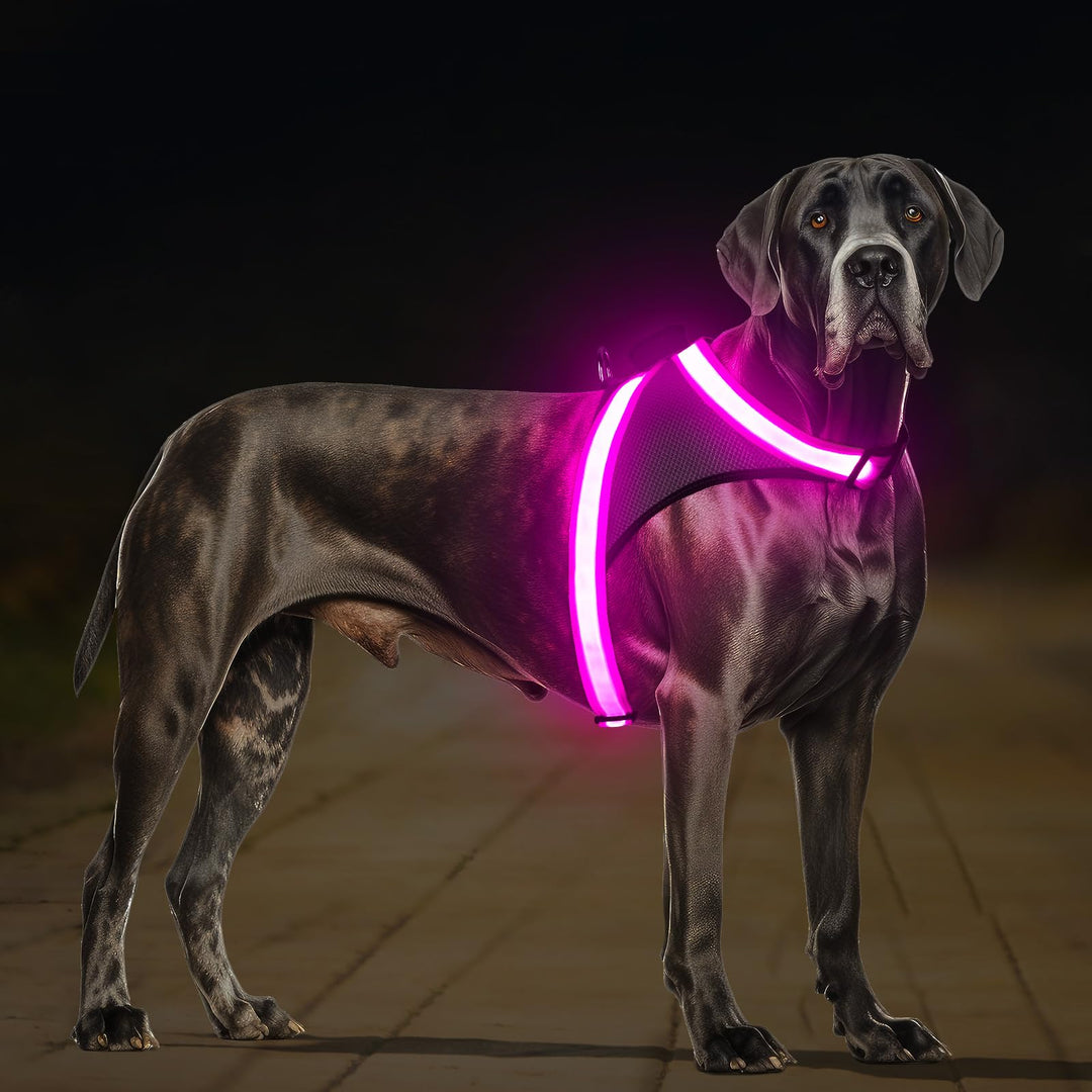 ChalkLit LED Leuchtendes Hundegeschirr USB Wiederaufladbares Vollständig Beleuchtetes Hundegeschirr