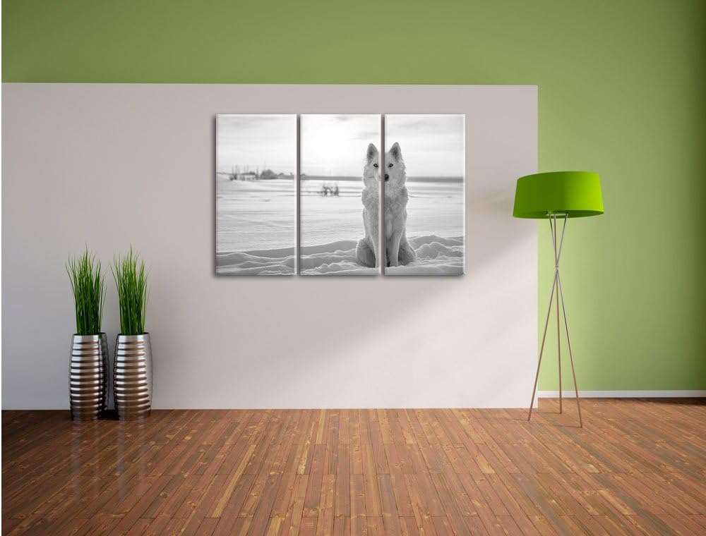 Pixxprint Weisser Wolf im Schnee Kunst B&W als Leinwandbild/Grösse: 3 Teilig (120x80) / Wandbild/Kun