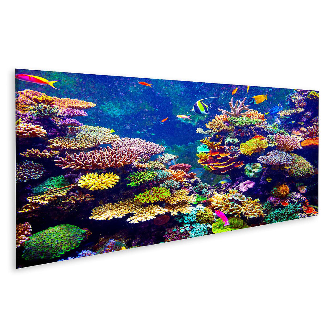 islandburner Bild auf Leinwand Singapur Aquarium Korallenriff Tropische Fische Sonnenlicht Bilder Wa