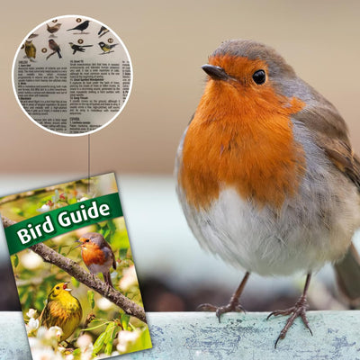 Wanduhr mit Vogelstimmen STARLYF Birdsong Clock, Wanduhr mit echten Klängen von 12 verschiedenen Vög