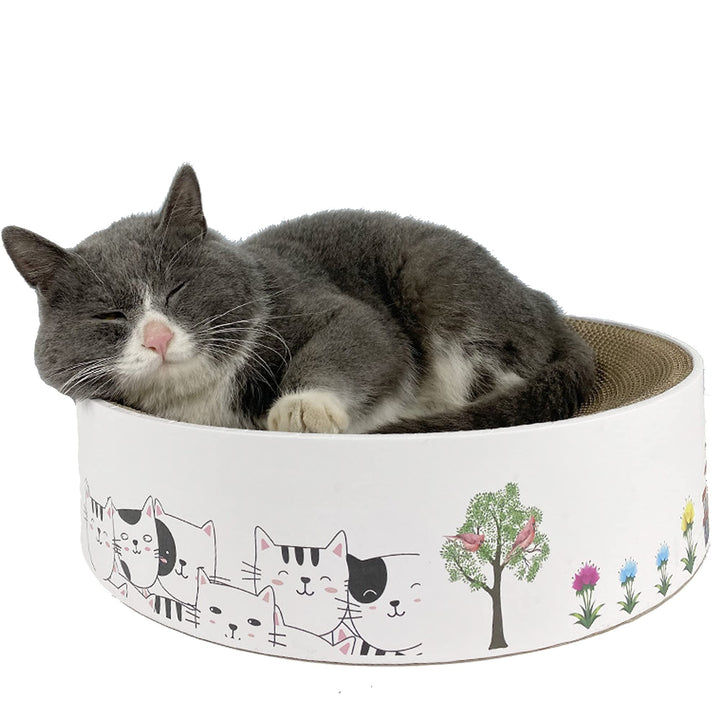 Kratzbrett für Katzen, Katzenkratzer, Interaktives Katzenspielzeug, Katzen Kratzbrett, Katzenkratzbr