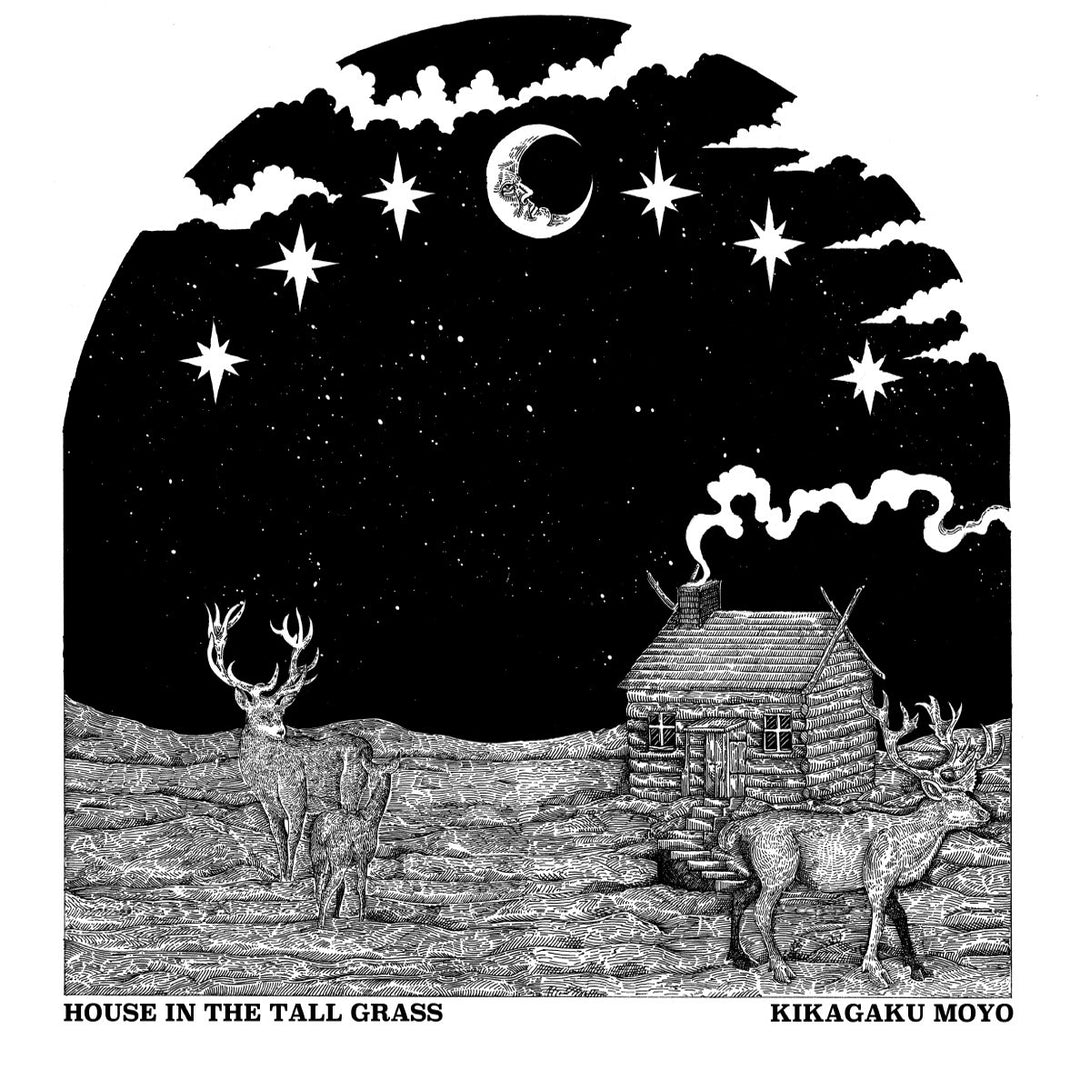 House in the Tall Grass, Vinyl
