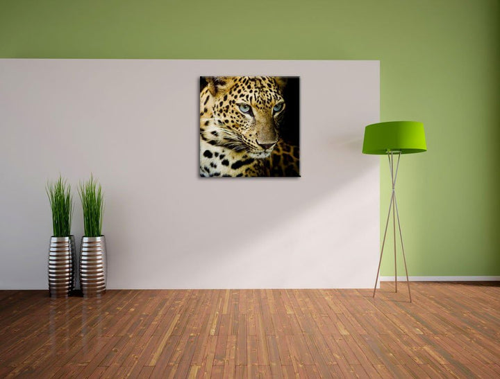 Leopard mit blauen Augen, Format: 70x70 auf Leinwand, XXL riesige Bilder fertig gerahmt mit Keilrahm