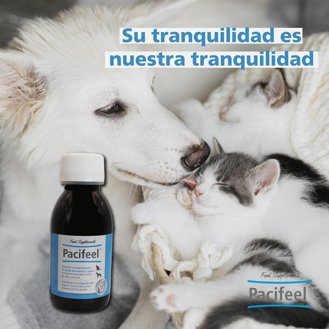 Pacifeel 18533 Pacific 100 ml Syrup, Plastic