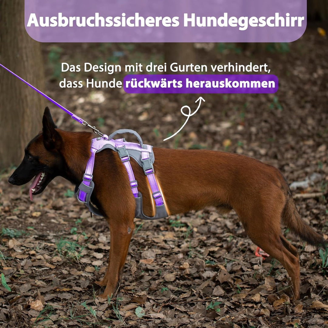 Huntboo Sicherheitsgeschirr Hund Ausbruchsicher, Panikgeschirr für Hunde, Reflektierendes Geschirr H