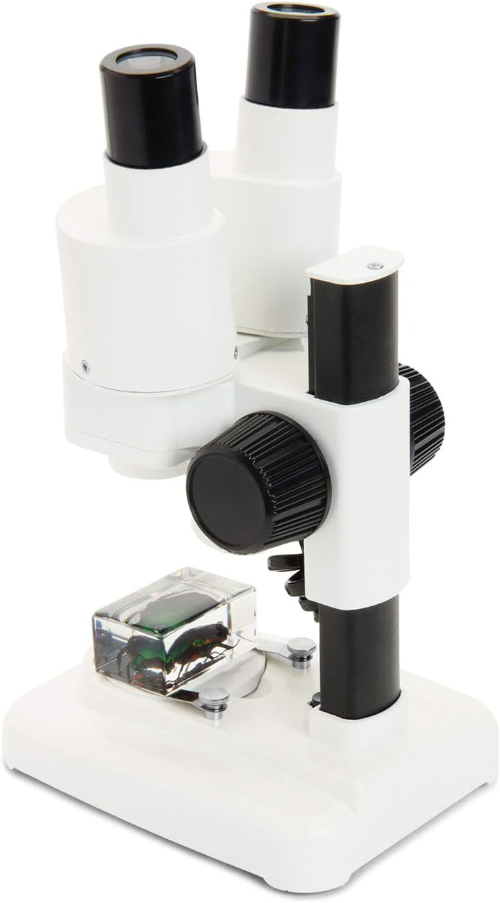 Celestron 44207 CL-S20 Stereo Microscope, 20x Magnification, White Labs CL-S20 Stereo, Labs CL-S20 S