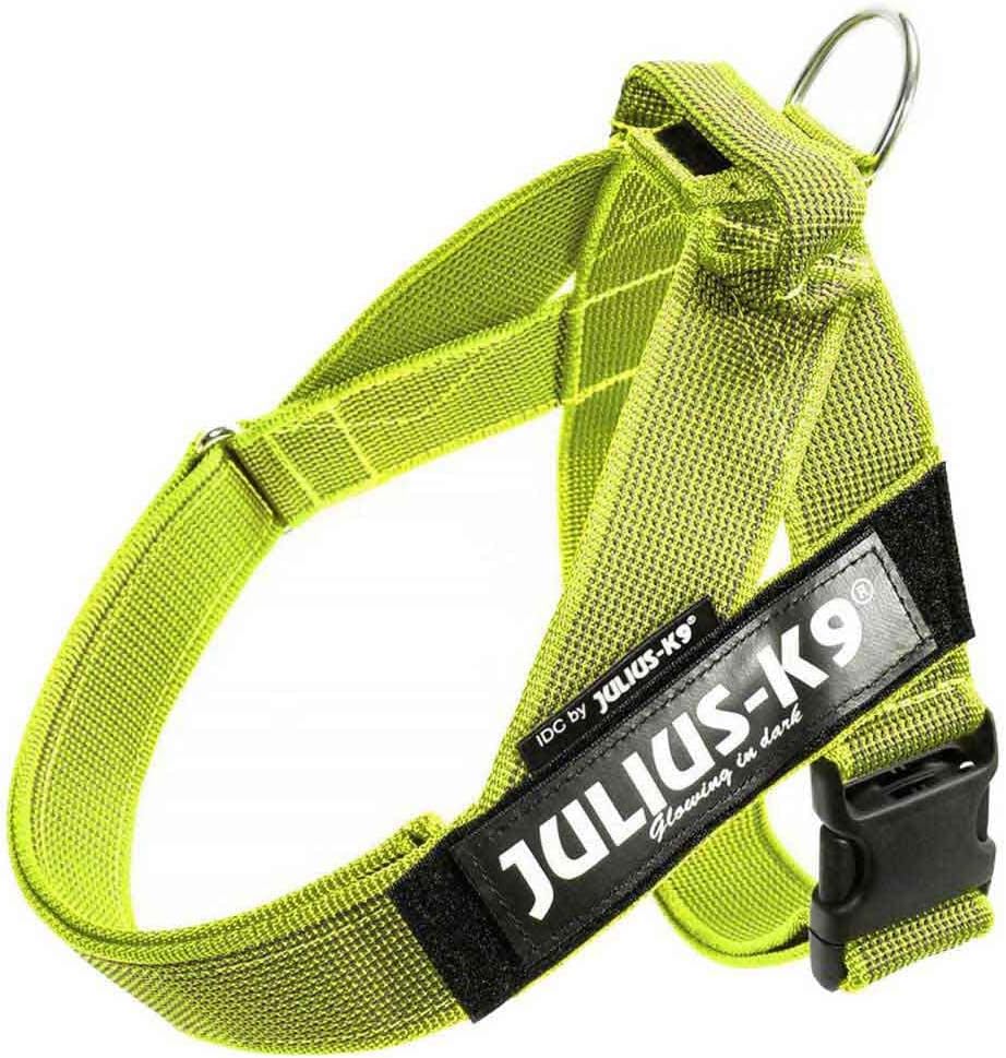 Julius-K9, Color & Gray, Beltgeschirr L / 1 neon-grau, L / 1 neon-grau