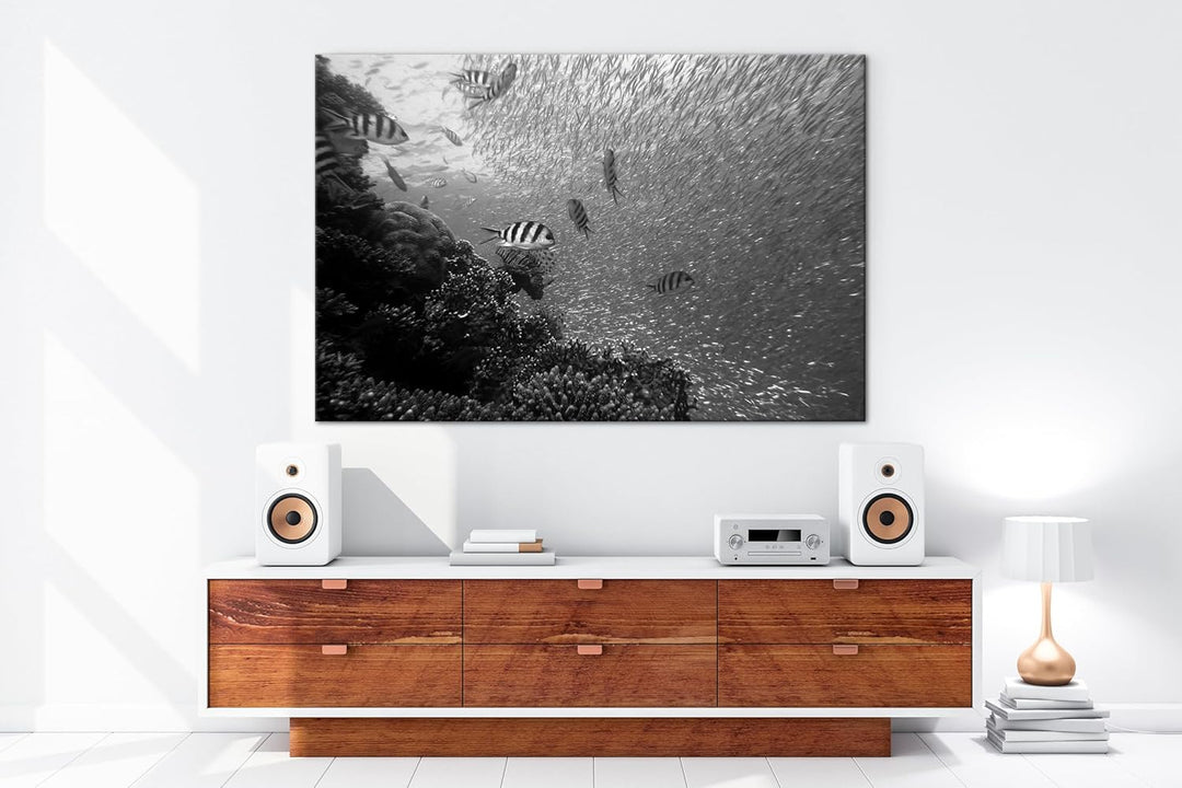 deyoli Fischschwärme im Korallenriff Format: 80x60 Effekt: Schwarz&Weiss als Leinwandbild, Motiv fer