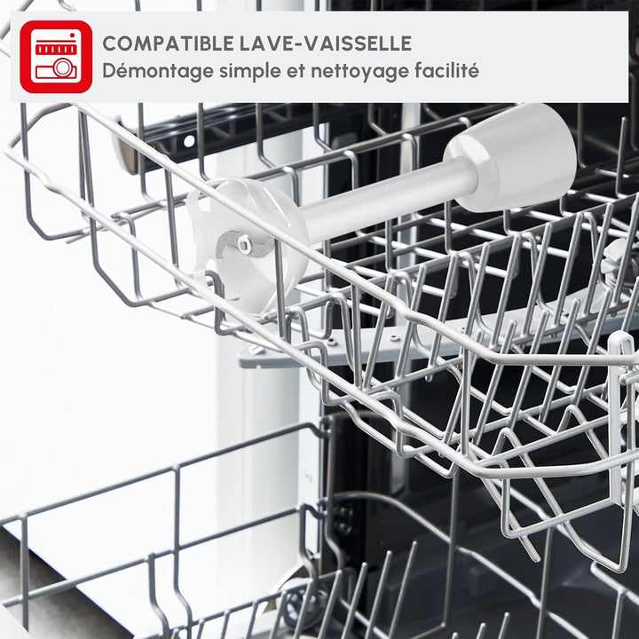 Moulinex Stabmixer Turbomix DD12A1 | 350 W | Ergonomischer Griff | 2 robuste Zelkrom-Klingen | Sprit