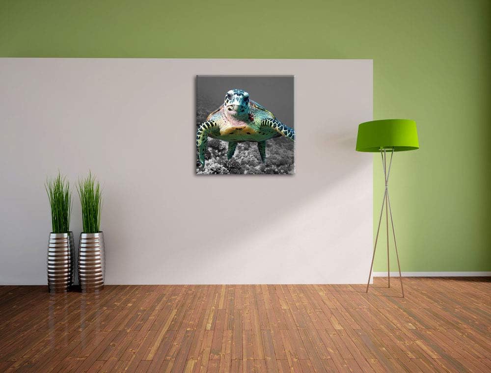 Pixxprint Schildkröte Korallenriff als Leinwandbild/Grösse: 70x70 cm/Wandbild/Kunstdruck/fertig besp