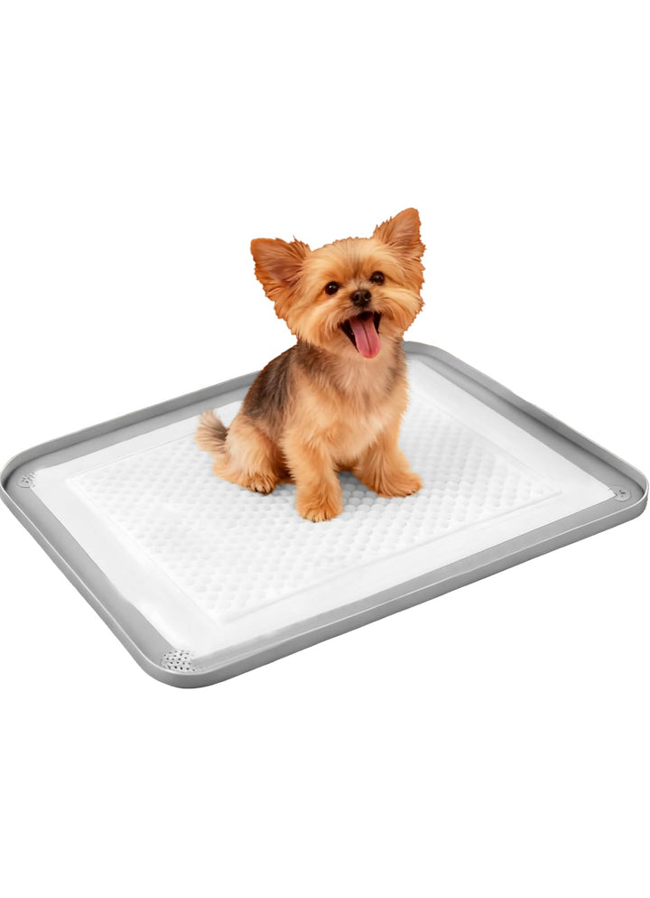 Pipi Matten für Hunde, Hundetoilette,60×42cm für Hunde und grosser Hund, Welpen Unterlagen, Training