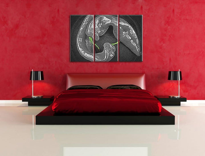 appetitliche scharfe Chilischoten schwarz/weiss Deluxe 3-Teiler Leinwandbild 120x80 Bild auf Leinwan