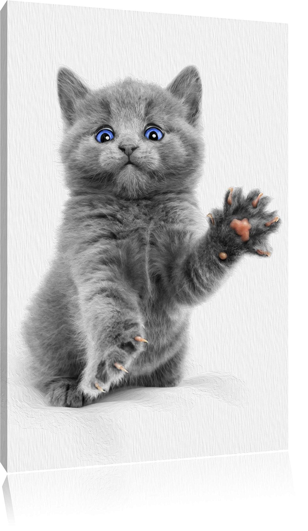süsse kleine russisch Blau schwarz/weiss Format: 100x70 auf Leinwand, XXL riesige Bilder fertig gera