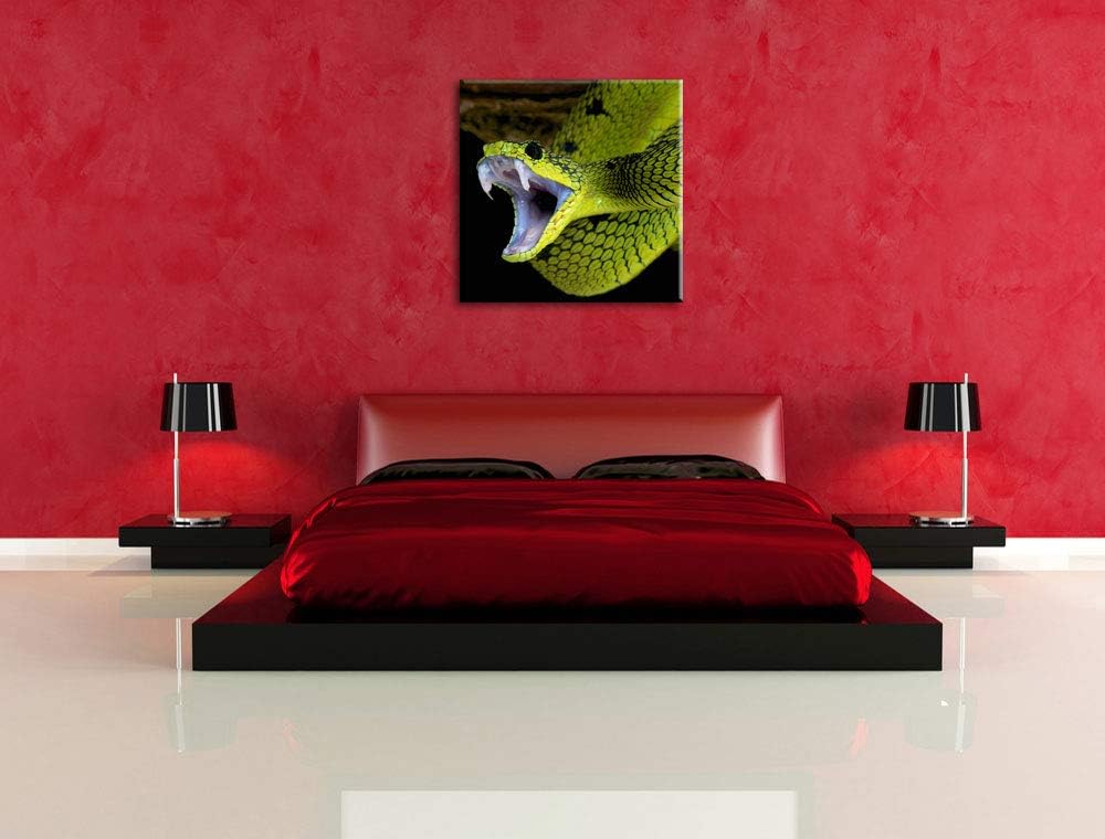 Giftige grüne Schlange, Format: 70x70 auf Leinwand, XXL riesige Bilder fertig gerahmt mit Keilrahmen