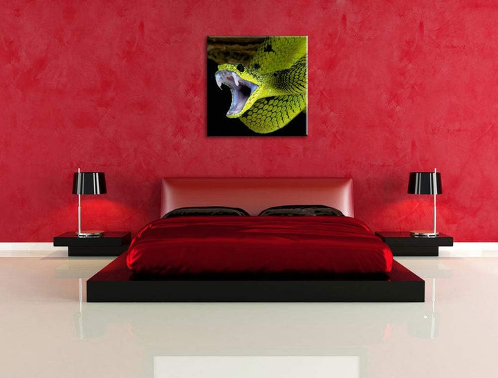 Giftige grüne Schlange, Format: 70x70 auf Leinwand, XXL riesige Bilder fertig gerahmt mit Keilrahmen