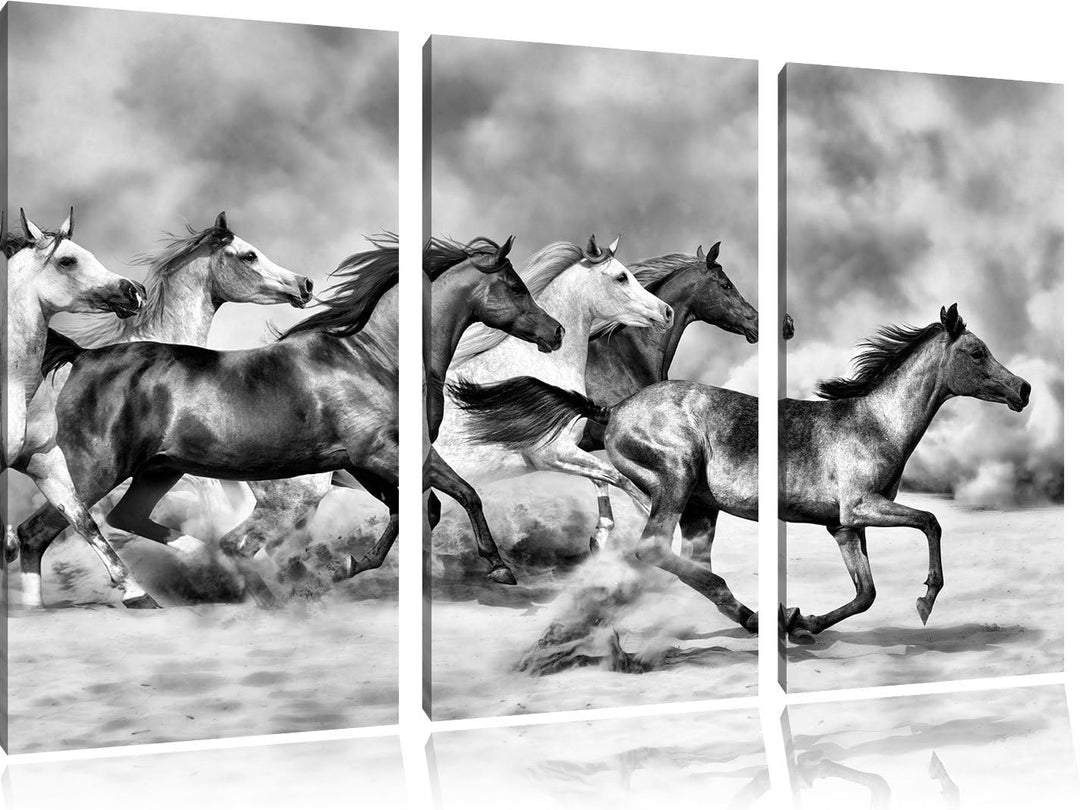 Pixxprint Western Pferde in Wüste als Leinwandbild/Grösse: 3Teilig (120x80) / Wandbild/Kunstdruck/fe