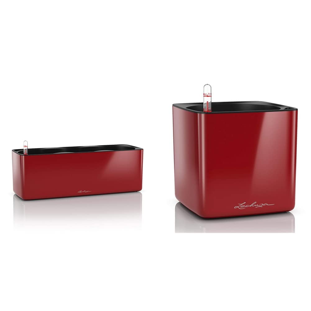 Lechuza Cube Glossy Triple, Scarlet Rot & Cube Glossy 16, Lackierte Oberfläche, Scarlet Rot, Hochwer
