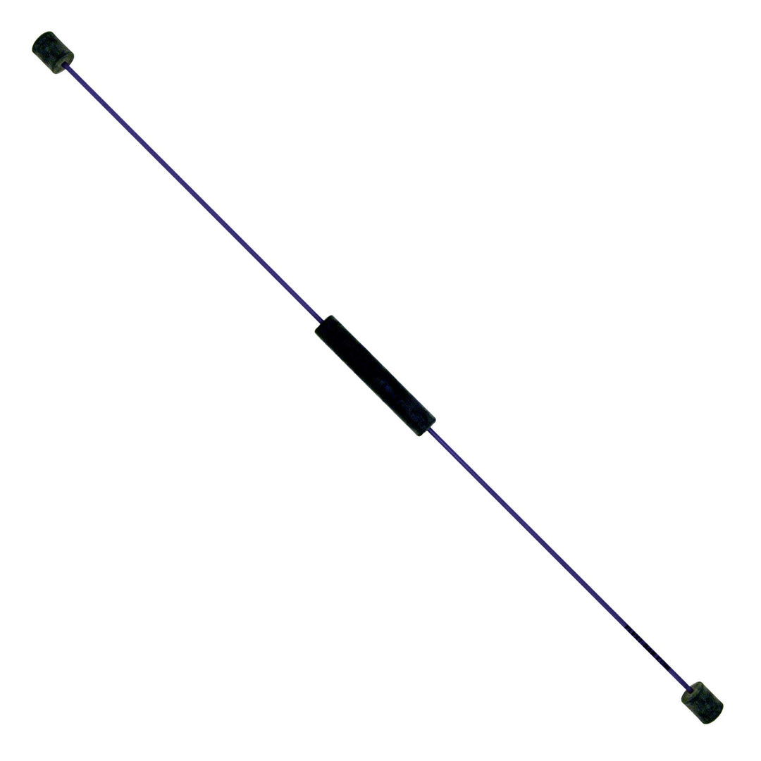 FLEXI-BAR INTENSIV, Blau, hochbelastbarer Schwingstab von Flexi-Sports mit Einführungs-DVD und Train