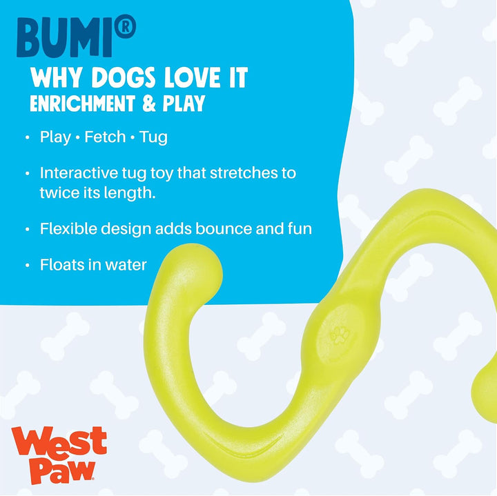 West Paw 27582 Bumi Large, Aqua aqua blue Large, aqua blue Large