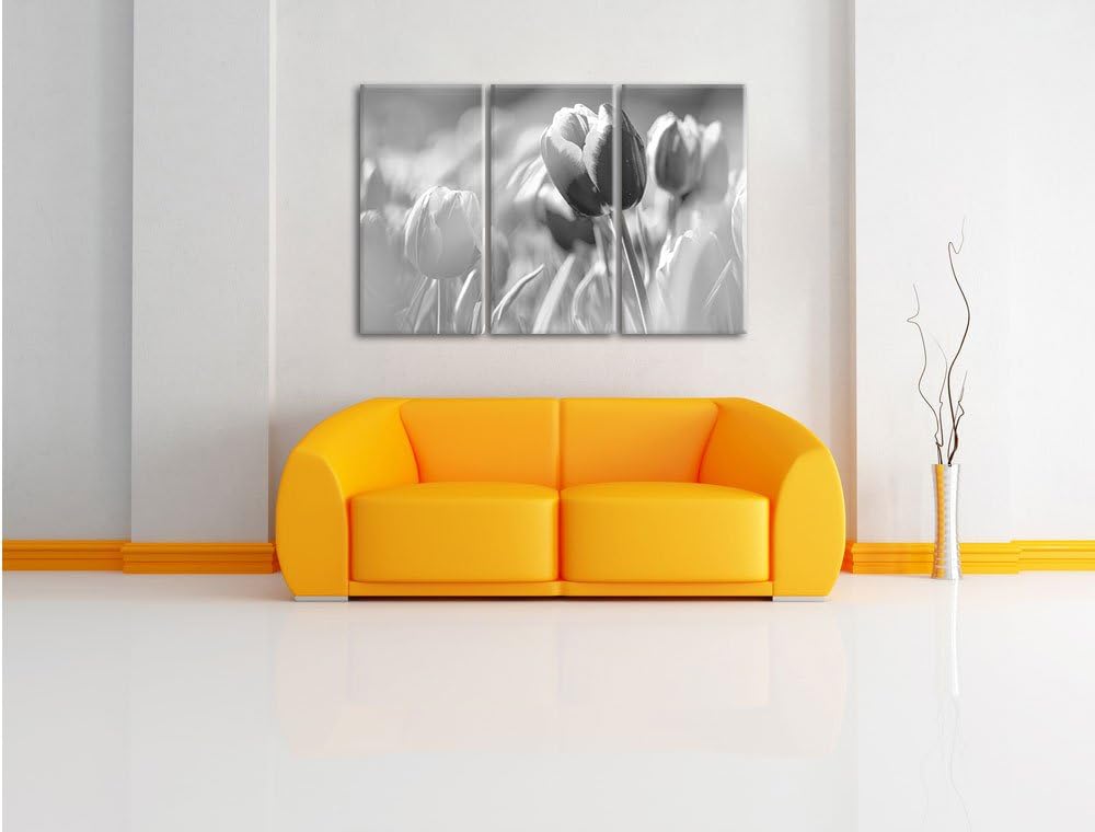 Pixxprint Blühende Tulpen als Leinwandbild/Grösse: 3 Teilig (120x80) / Wandbild/Kunstdruck/fertig be