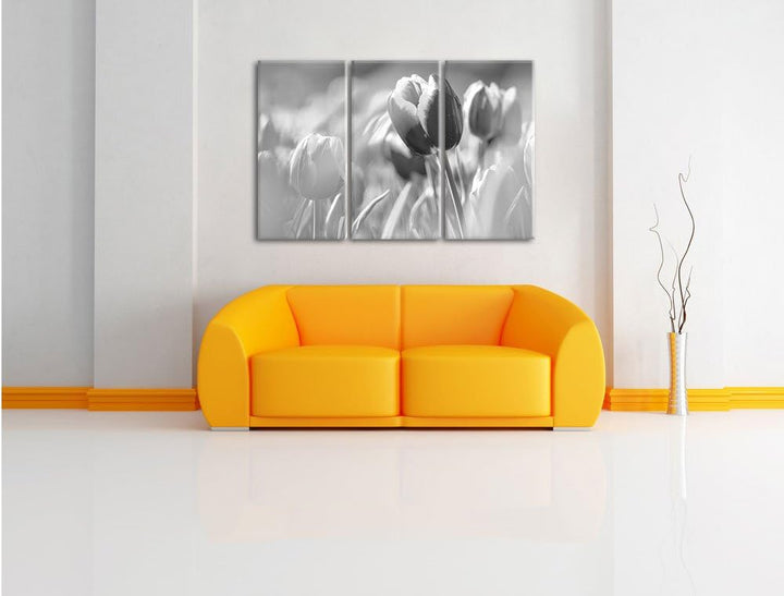 Pixxprint Blühende Tulpen als Leinwandbild/Grösse: 3 Teilig (120x80) / Wandbild/Kunstdruck/fertig be