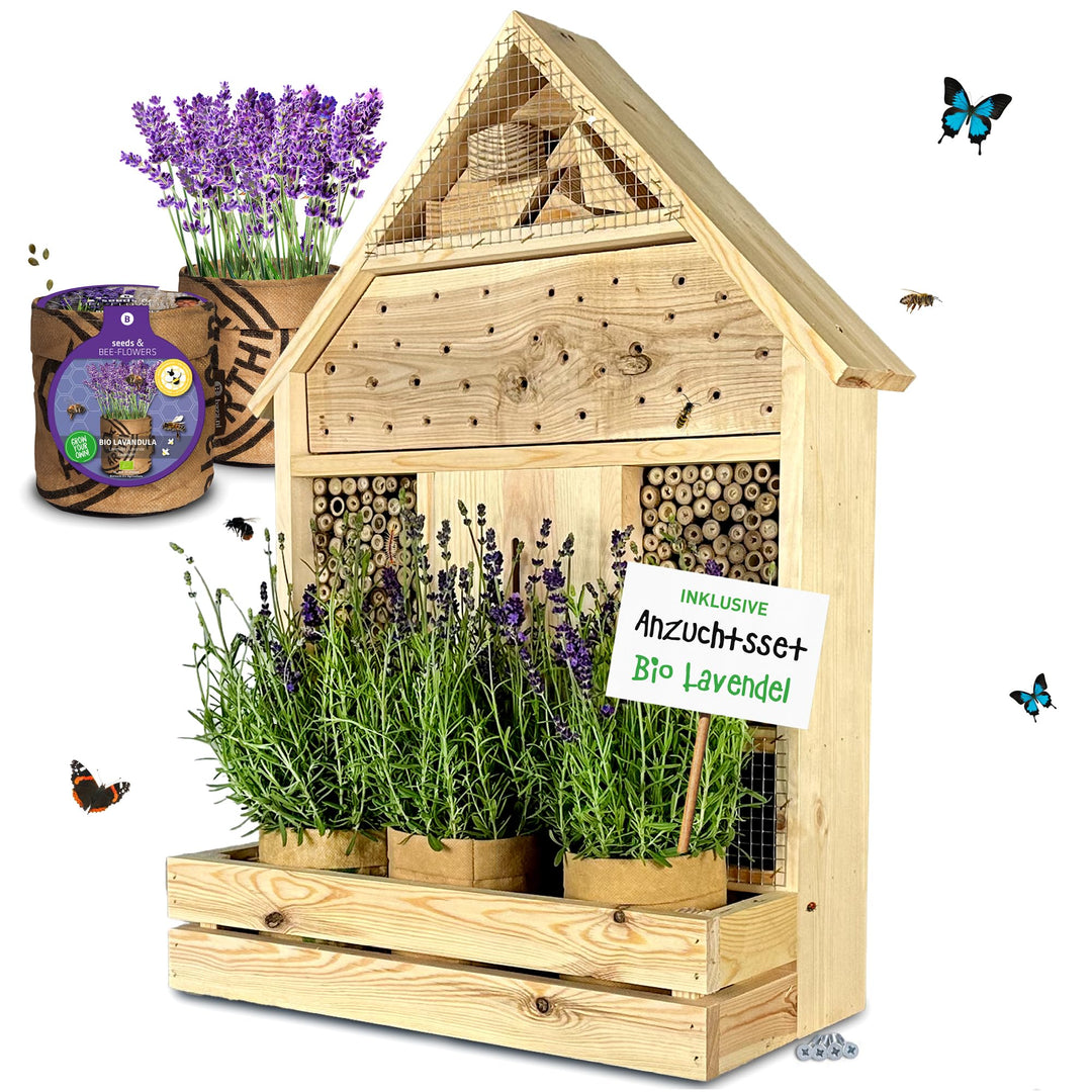 GARTENETAGE Insektenhotel zum Aufhängen mit Pflanzenbalkon Lavendel - inkl. Anzuchtset/Naturbelassen