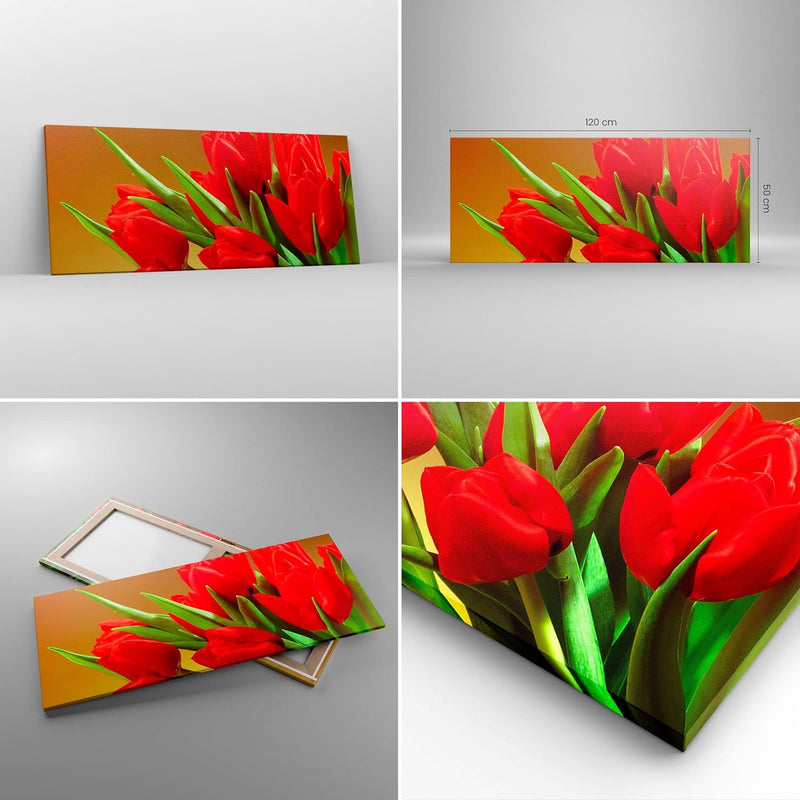 Wandbilder Dekoration Wohnzimmer Tulpen Blumen Feld Plantage Panorama Bilder auf Leinwand 120x50cm L