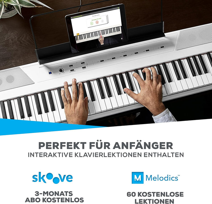Alesis Recital E Piano Weiss + M-Audio SP-2 Sustain Pedal - 88-Tasten Digitalpiano mit eingebauten L